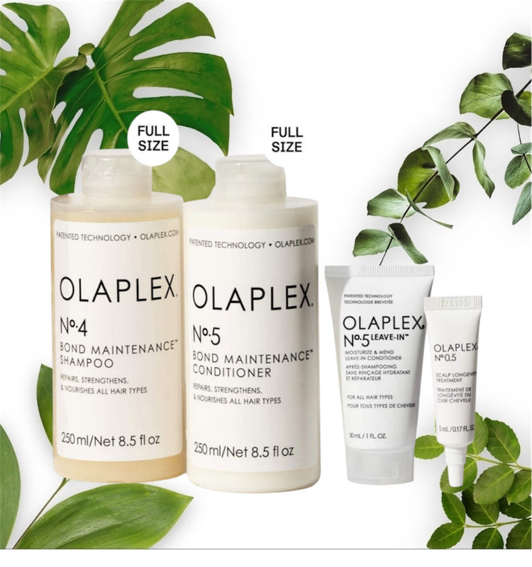 Must Haves (Favorite Products)